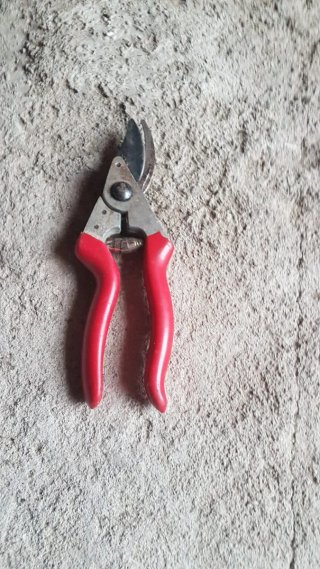Tijeras de podar rojas (precio unidad)
