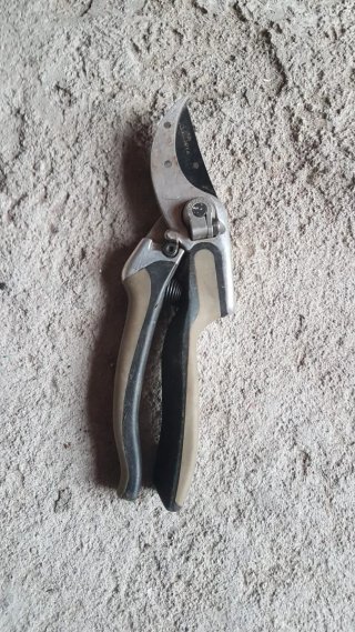 Tijeras de podar rojas (precio unidad)