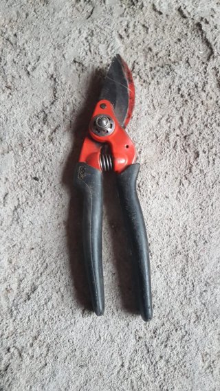 Tijeras de podar rojas (precio unidad)