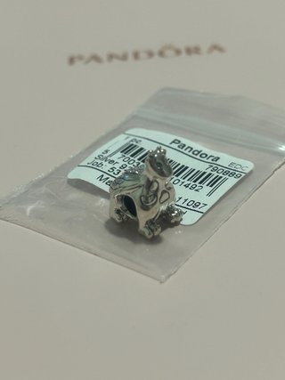 Pandora Charm exclusivo Winniper, incluye neceser