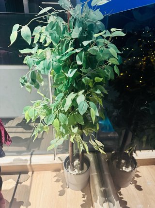 Planta Artificial Decorativa 130cm