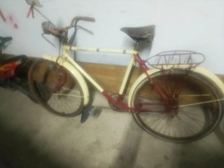 Bicicleta Clásica Eternis