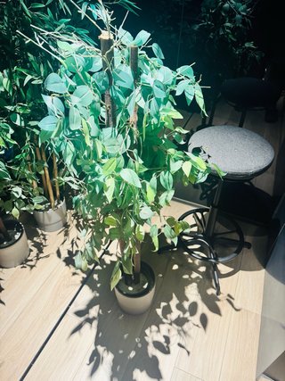 Planta Artificial Decorativa - 130cm
