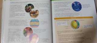 Biología, 2 Bachillerato, Proyecto Construyendo...