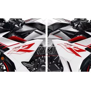 Pegatinas RR PARA ZONTES 703rr
