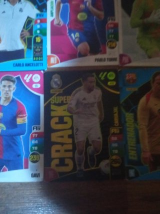 Cartas Adrenalyn XL 24-25
