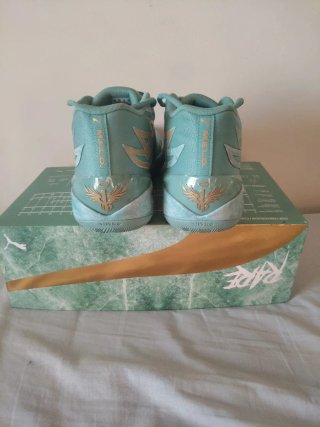 Puma MB.02 Lunar Year