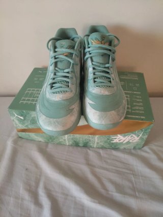 Puma MB.02 Lunar Year