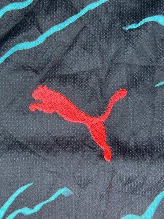 Camiseta Manchester City Puma Talla M 23/24