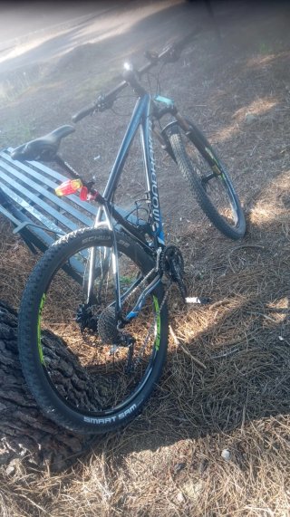 Bici Montaña Disco y Suspensión