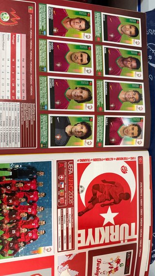 Álbum Oficial Euro 2008 Panini