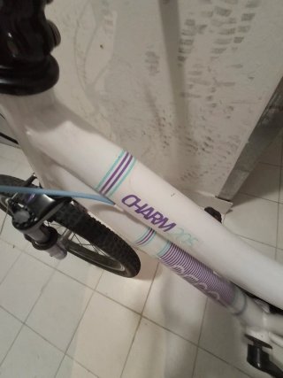 Bicicleta infantil 7-10 años