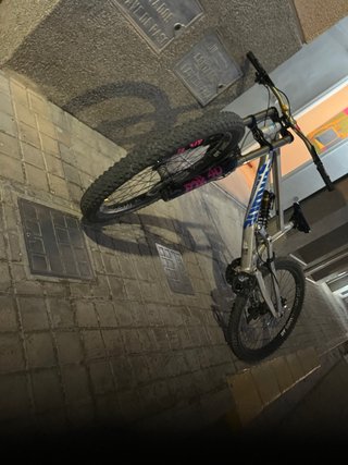 Bici de Descenso