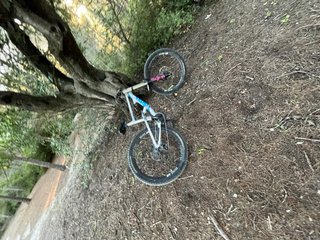 Bici de Descenso