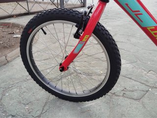 Bicicleta Infantil JL Wenti Roja 20