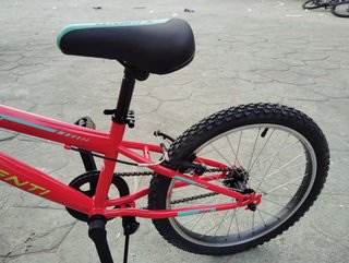 Bicicleta Infantil JL Wenti Roja 20