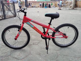 Bicicleta Infantil JL Wenti Roja 20