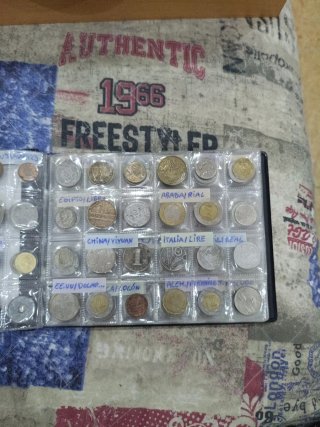 Libro Colección Monedas Professional Coin Collecti