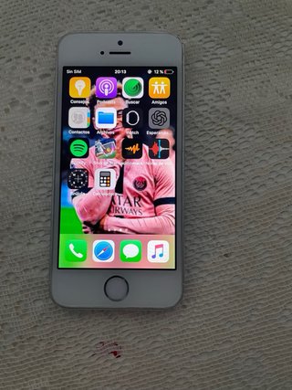 iPhone 5s Bianco Argento
