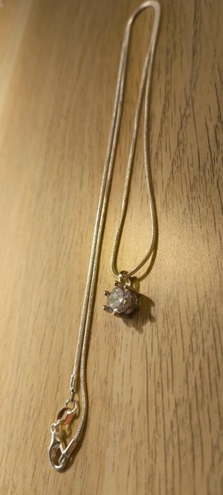 Colgante tipo serpiente con baño de plata 925