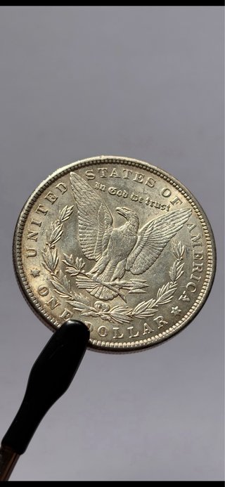 1 Dólar Morgan 1900 (EBC+)