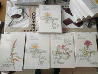 Colección de libros Grandes autoras