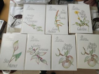 Colección de libros Grandes autoras