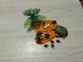 Playmobil Tartarughe e Uova