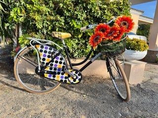Bicicleta Urbana Vintage Decorada