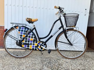 Bicicleta Urbana Vintage Decorada