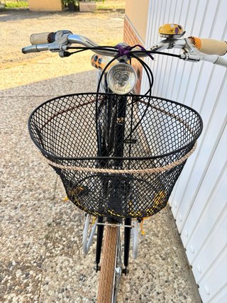 Bicicleta Urbana Vintage Decorada