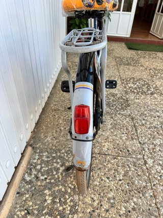 Bicicleta Urbana Vintage Decorada
