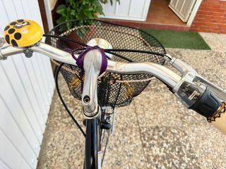 Bicicleta Urbana Vintage Decorada