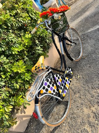 Bicicleta Urbana Vintage Decorada