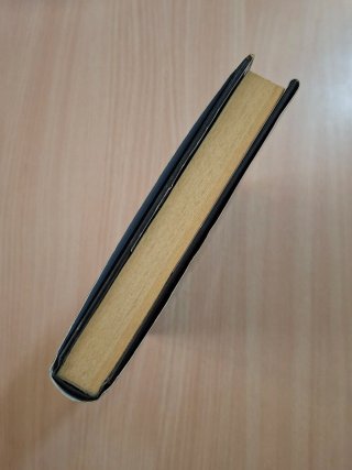 La breve seconda vita di Bree Tanner