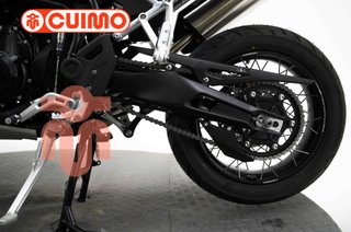 TRIUMPH TIGER 900 RALLY PRO