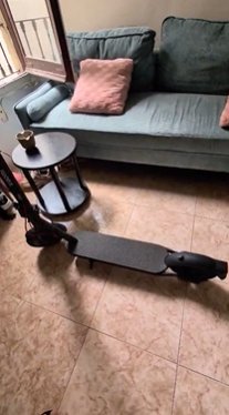 Patinete Eléctrico Xiaomi 1S