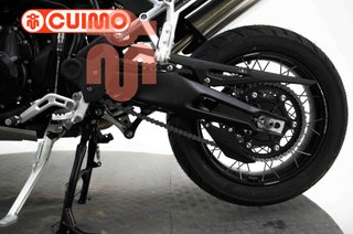 TRIUMPH TIGER 900 RALLY PRO