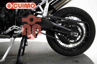 TRIUMPH TIGER 900 RALLY PRO