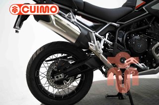 TRIUMPH TIGER 900 RALLY PRO