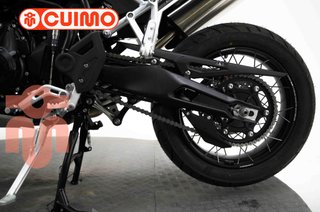 TRIUMPH TIGER 900 RALLY PRO