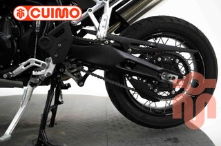 TRIUMPH TIGER 900 RALLY PRO