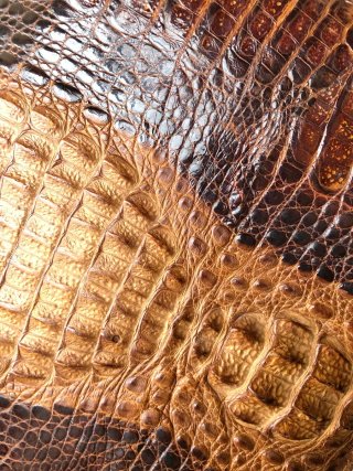 Bolso mujer en VERDADERO cocodrilo Vintage auténti