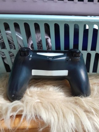 Mando PS4 (PlayStation 4) Negro