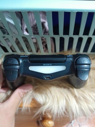 Mando PS4 (PlayStation 4) Negro