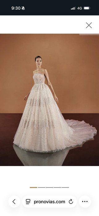Vestido de Novia con brillo