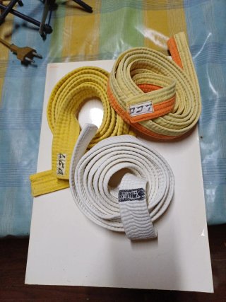 Cinture di Judo Bianche e Gialle