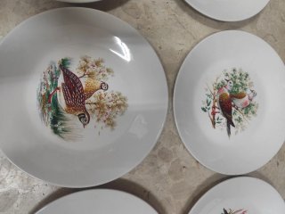 6 Piatti Antichi Vintage Caccia agli Uccelli