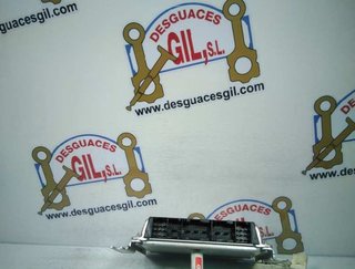 Centralita 3910837502 hyundai santa fe (sm) 699966