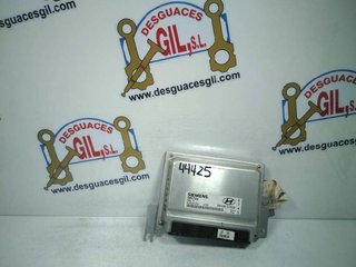 Centralita 3910837502 hyundai santa fe (sm) 699966